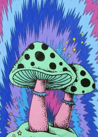 The Power of Magic Mushrooms: Unlocking Nature’s Secret Wisdom