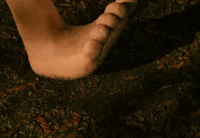 feet in grass