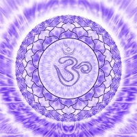The Solar Plexus Chakra: The Seat of Power, Confidence, and Personal Will