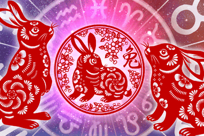 The Year of the Rabbit: Chinese Lunar New Year And What To Expect